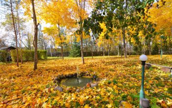 Акварели Осень День Фруктовый сад Клены Фонтанчик